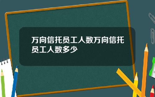 万向信托员工人数万向信托员工人数多少