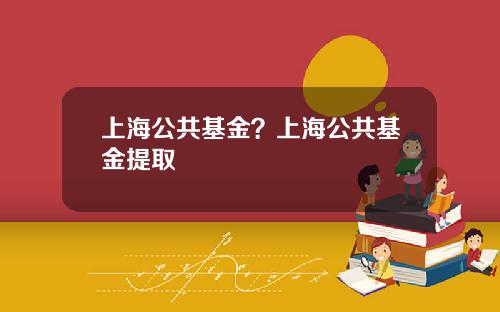 上海公共基金？上海公共基金提取