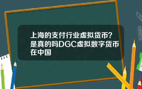 上海的支付行业虚拟货币？是真的吗DGC虚拟数字货币在中国