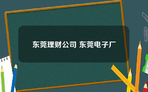 东莞理财公司 东莞电子厂