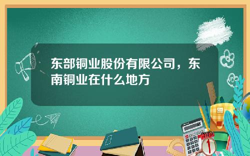 东部铜业股份有限公司，东南铜业在什么地方