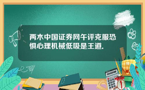 两木中国证券网午评克服恐惧心理机械低吸是王道.