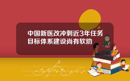 中国新医改冲刺近3年任务目标体系建设尚有软肋