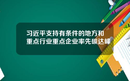 习近平支持有条件的地方和重点行业重点企业率先碳达峰