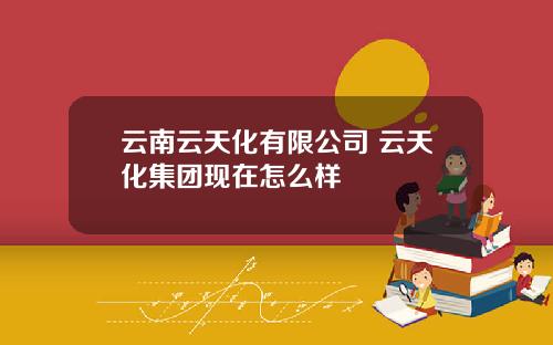 云南云天化有限公司 云天化集团现在怎么样