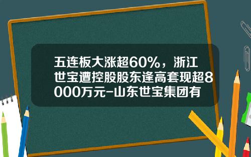 五连板大涨超60%，浙江世宝遭控股股东逢高套现超8000万元-山东世宝集团有限公司