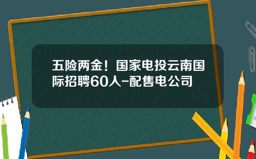 五险两金！国家电投云南国际招聘60人-配售电公司