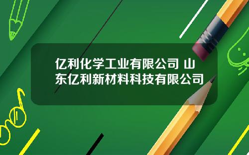 亿利化学工业有限公司 山东亿利新材料科技有限公司