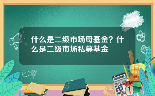 什么是二级市场母基金？什么是二级市场私募基金