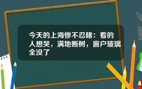 今天的上海惨不忍睹：看的人想哭，满地断树，窗户玻璃全没了