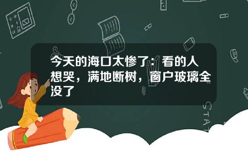 今天的海口太惨了：看的人想哭，满地断树，窗户玻璃全没了