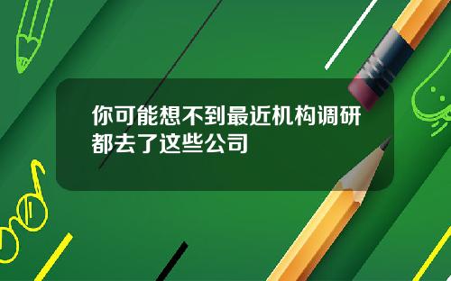 你可能想不到最近机构调研都去了这些公司