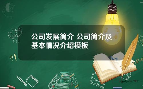 公司发展简介 公司简介及基本情况介绍模板