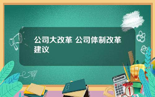 公司大改革 公司体制改革建议