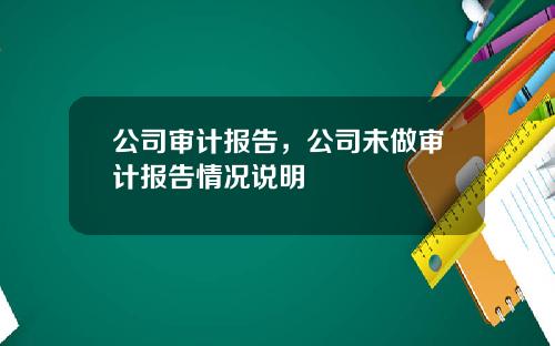 公司审计报告，公司未做审计报告情况说明