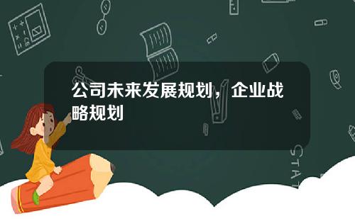 公司未来发展规划，企业战略规划