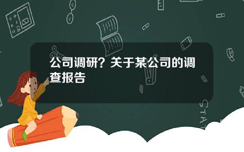 公司调研？关于某公司的调查报告