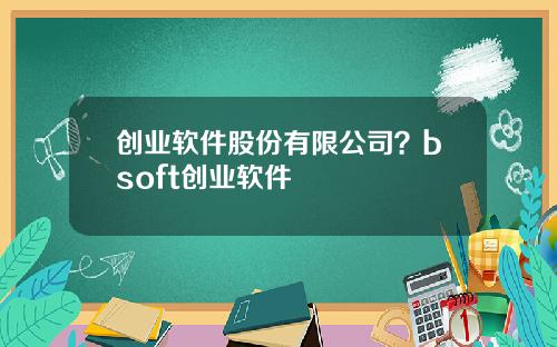 创业软件股份有限公司？bsoft创业软件