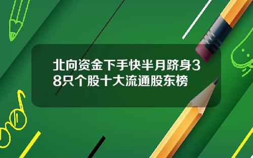 北向资金下手快半月跻身38只个股十大流通股东榜