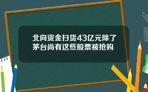 北向资金扫货43亿元除了茅台尚有这些股票被抢购