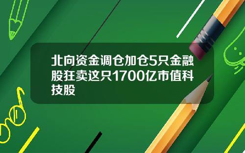 北向资金调仓加仓5只金融股狂卖这只1700亿市值科技股