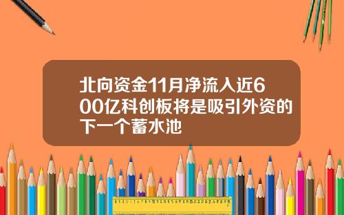 北向资金11月净流入近600亿科创板将是吸引外资的下一个蓄水池