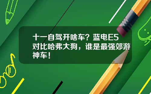 十一自驾开啥车？蓝电E5对比哈弗大狗，谁是最强郊游神车！