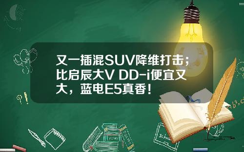 又一插混SUV降维打击；比启辰大V DD-i便宜又大，蓝电E5真香！