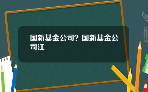 国新基金公司？国新基金公司江