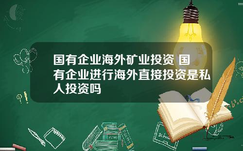 国有企业海外矿业投资 国有企业进行海外直接投资是私人投资吗