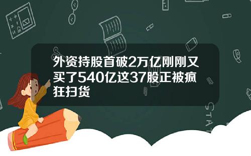 外资持股首破2万亿刚刚又买了540亿这37股正被疯狂扫货