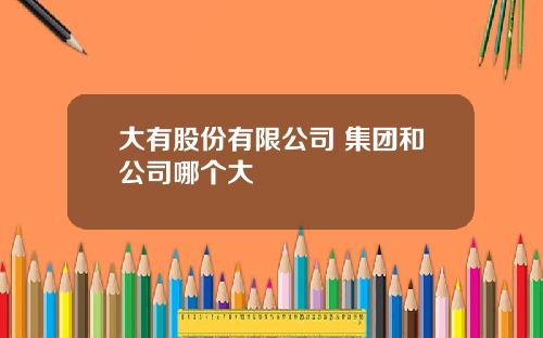 大有股份有限公司 集团和公司哪个大