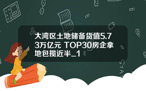 大湾区土地储备货值5.73万亿元 TOP30房企拿地包揽近半_1