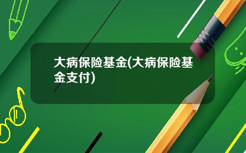 大病保险基金(大病保险基金支付)