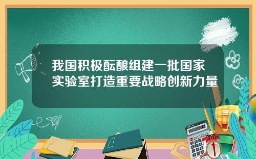 我国积极酝酿组建一批国家实验室打造重要战略创新力量