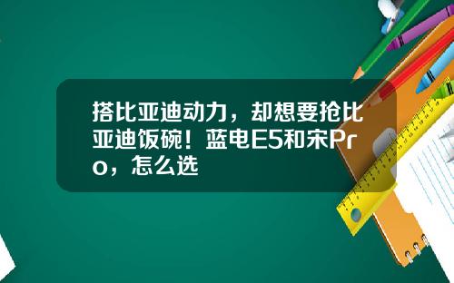 搭比亚迪动力，却想要抢比亚迪饭碗！蓝电E5和宋Pro，怎么选