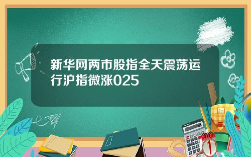 新华网两市股指全天震荡运行沪指微涨025