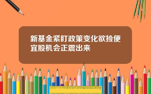 新基金紧盯政策变化欲捡便宜股机会正震出来