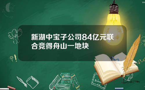 新湖中宝子公司84亿元联合竞得舟山一地块