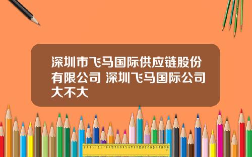 深圳市飞马国际供应链股份有限公司 深圳飞马国际公司大不大