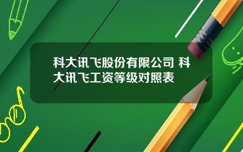 科大讯飞股份有限公司 科大讯飞工资等级对照表