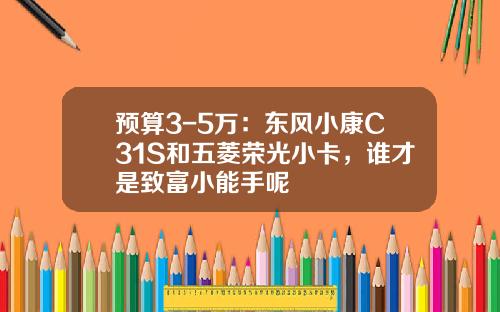 预算3-5万：东风小康C31S和五菱荣光小卡，谁才是致富小能手呢