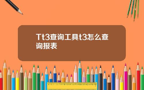 Tt3查询工具t3怎么查询报表