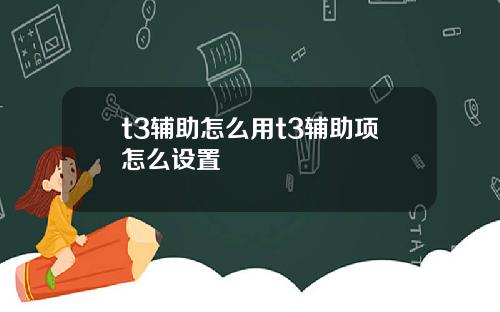 t3辅助怎么用t3辅助项怎么设置