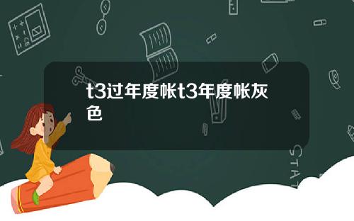 t3过年度帐t3年度帐灰色