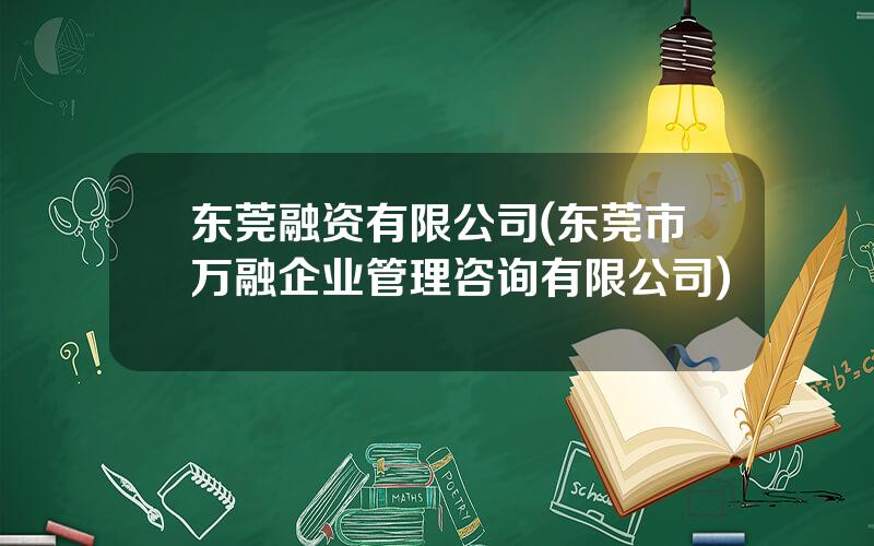 东莞融资有限公司(东莞市万融企业管理咨询有限公司)