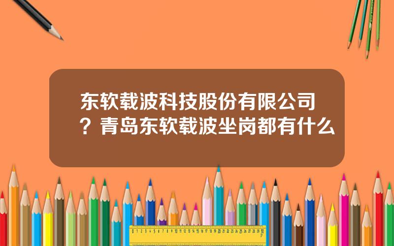 东软载波科技股份有限公司？青岛东软载波坐岗都有什么