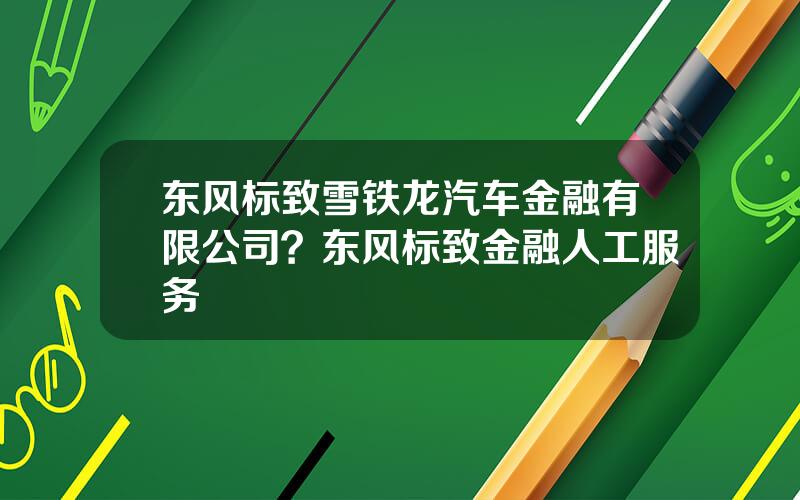 东风标致雪铁龙汽车金融有限公司？东风标致金融人工服务