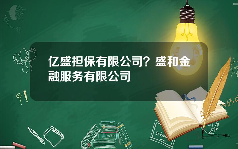 亿盛担保有限公司？盛和金融服务有限公司