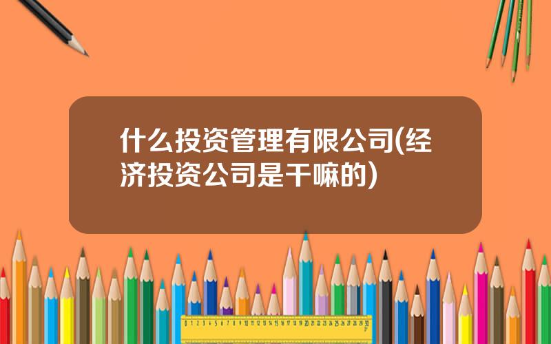 什么投资管理有限公司(经济投资公司是干嘛的)